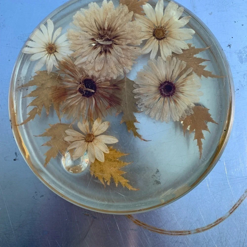 Vintage  Acrylic Lucite Dried Flowers Trivet Hot Pad